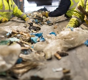 Wheeldons staff picking waste on the picking line