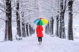 lady in snowy trees and a red coat